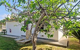 Villa Caterina a 100 mt dalla spiaggia